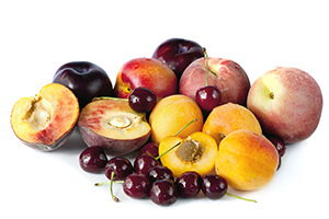 stone fruit growers